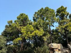 -宝岩生态观光园