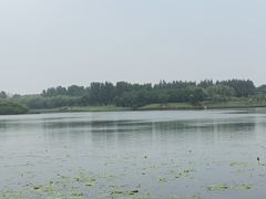 -丁香湖公园