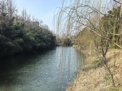 -水绘园