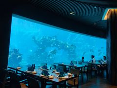 -海棠湾洲际-涛·海底餐厅·美人鱼·自助餐·海底隧道