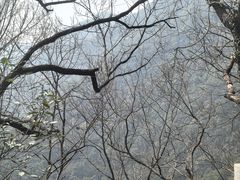 -灵顺寺