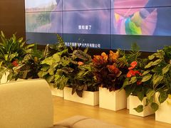 -北京国服信奥兴奥迪4S店(古城店)