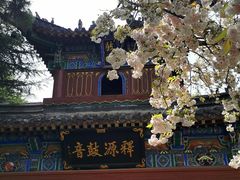 -洛阳白马寺