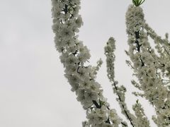 -涞滩古镇