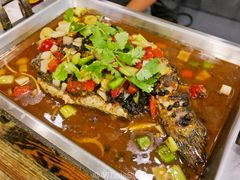 酱香豆豉烤鱼-鱼乐乐(Happy Fish)