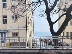 -双合园·海鲜水饺青岛菜(上清路店)