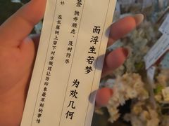 -长藤鬼校(龙翔店)