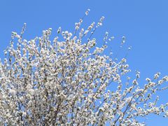 -仙海旅游度假区