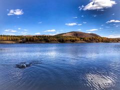 -塞罕坝国家级自然保护区