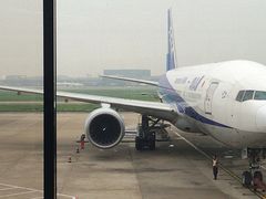 -全日本空输株式会社(上海办事处)