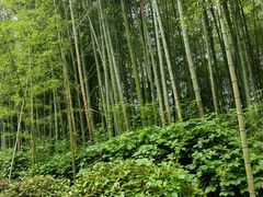 -池州市平天湖风景区