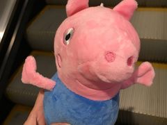 -天虹购物中心(石路店)