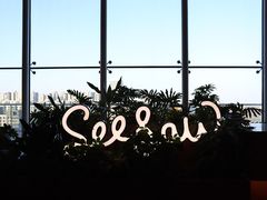 -Seesaw Coffee(朝阳大悦城店)