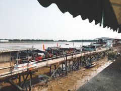 -大湾区中央湿地公园-十九涌