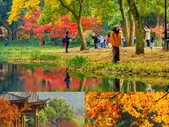 -九曜山