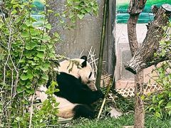 -青藏高原野生动物园
