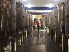 自酿啤酒-小仙居·农家宴烤羊· 农庄