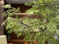 -君之狮子山·轻糖烘焙(松江印象城店)