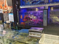 -侨美食家·40年地道粤菜(珠江新城店)