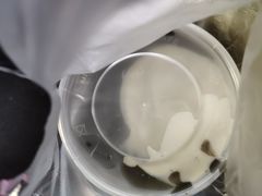 鸳鸯糊-鞠氏黑芝麻糊(水塔店)