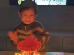 -糕小爱动物奶油生日蛋糕定制(晋江万达店)