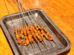 -福苗小骆驼烧烤(大唐不夜城店)