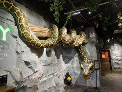 -Zoolung Zoolung动物主题公园(海信广场店)