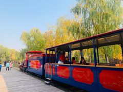 -永定河休闲森林公园