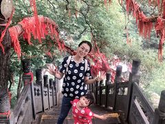 -洛阳白云山景区