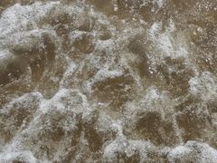 -日照海滨国家森林公园