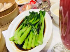 -金鼎轩·滋养小餐馆(联想桥店)