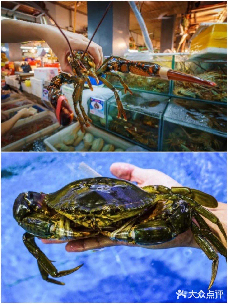 海口美食☞吃了还想吃的明星同款餐厅小胡子