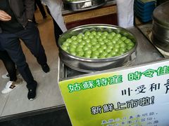 青团-叶受和(观前街店)