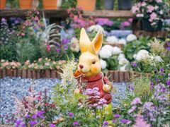 -武汉园博园(武汉自然博物馆)