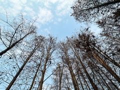 -重庆彩云湖湿地公园