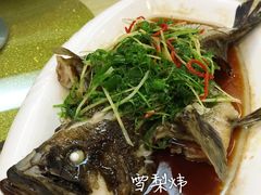 -汕头金乐大酒店