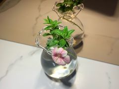 -茶是一枝花泡茶店