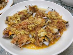 蒜蓉粉丝扇贝-富港会·海鲜酒楼(墟沟店)