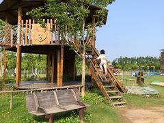 -上海长兴岛郊野公园