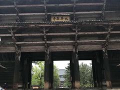 -奈良公园