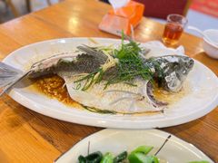-开心农家菜