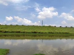 -迪茵湖田家舍生态农场