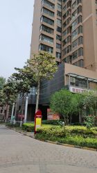 -童年时光专业儿童摄影(龙首店)