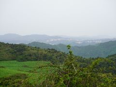 -齐岳山