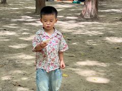 -日照海滨国家森林公园