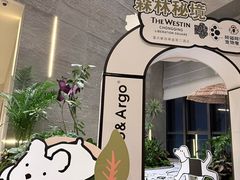 -重庆解放碑威斯汀酒店