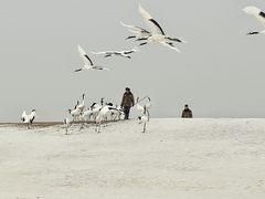 -黑龙江扎龙生态旅游区