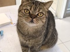 -纳吉亚猫专科动物医院博雅分院