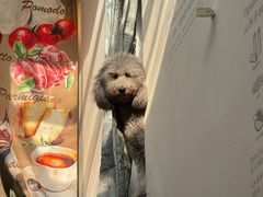 -沏点Trattoria意大利餐厅(新街口店)
