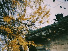 -金堂县云顶石城风景区